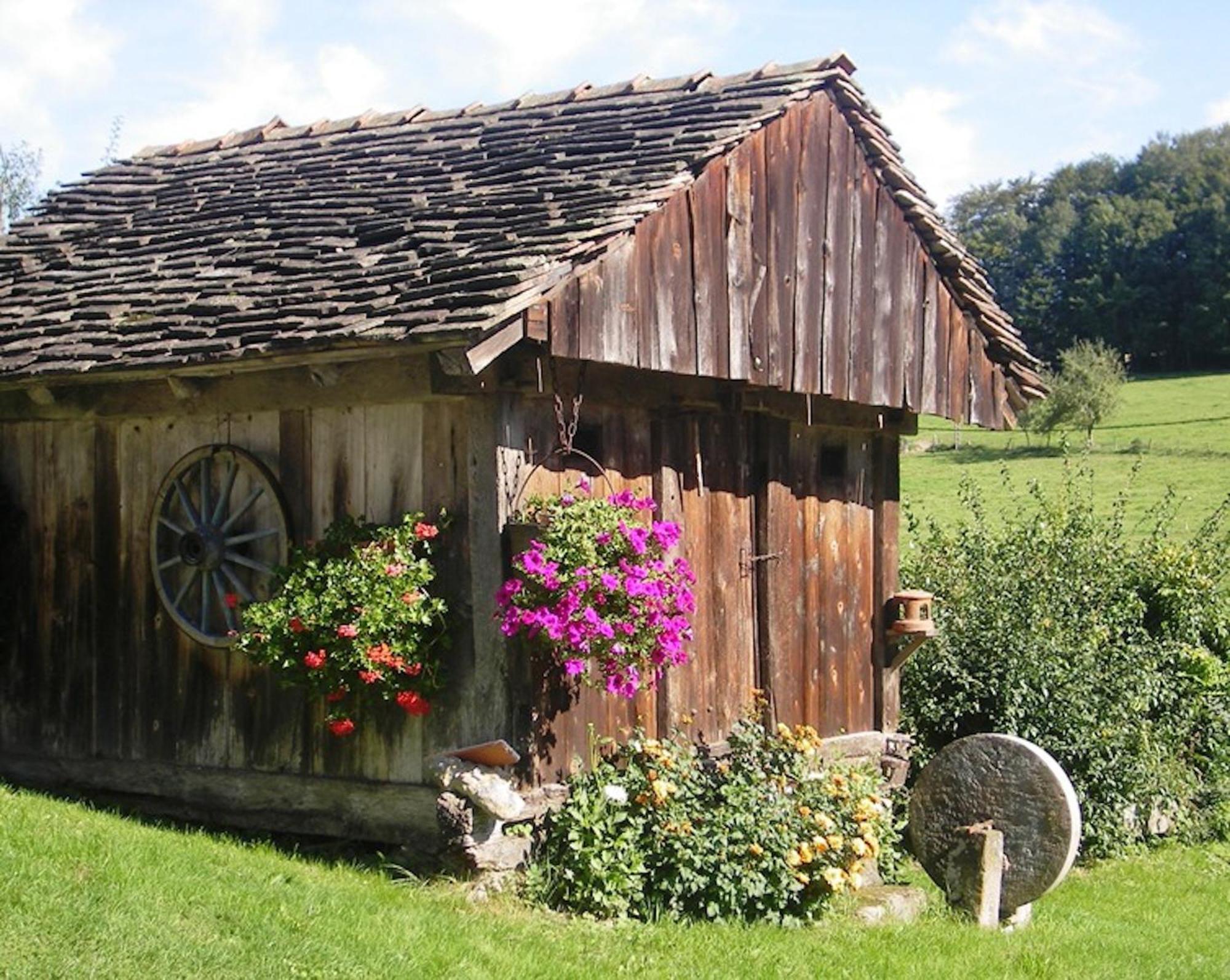 Chalet Residence La Combeaute Girmont-Val-dʼAjol Buitenkant foto