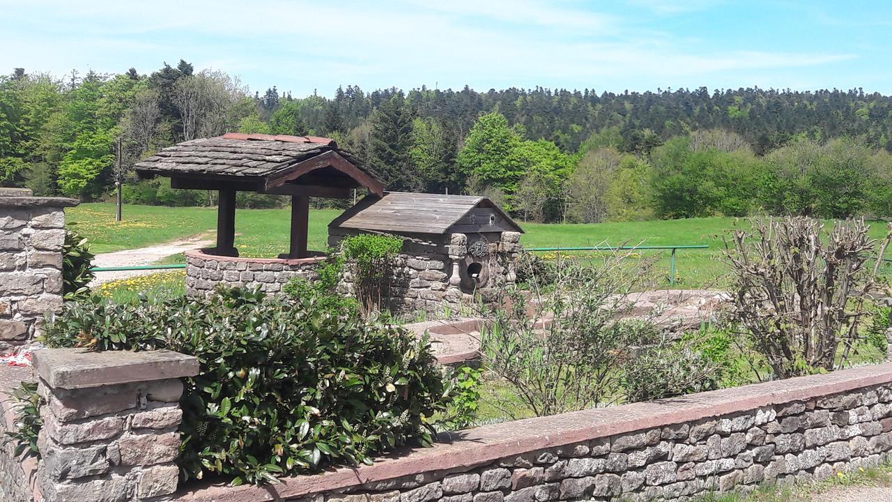 Chalet Residence La Combeaute Girmont-Val-dʼAjol Buitenkant foto